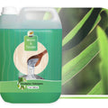 Eucalyptus - Een Adem van Frisheid: De Saunageur van Warm and Tender-Finesse Wellness BV